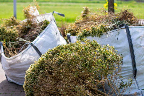 Best Mattress Removal Service  in Dolton, IL